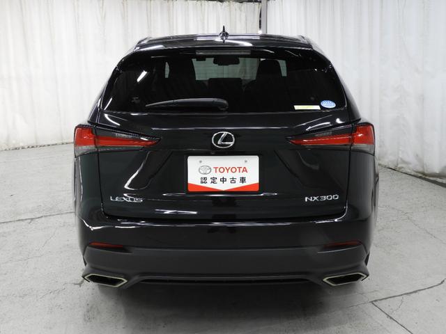 ＮＸ ＮＸ３００ブロンズエディション　ＴＣナビ＋パノラミックビューモニター＋ＥＴＣ＋ドラレコ前後＋合成皮革シート＋シートヒーター＋スマートキー＋ワンオーナー（7枚目）