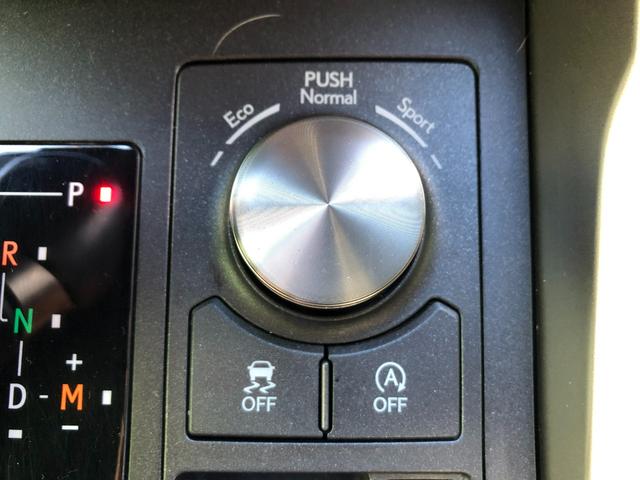 ＮＸ ＮＸ３００ブロンズエディション　ＴＣナビ＋パノラミックビューモニター＋ＥＴＣ＋ドラレコ前後＋合成皮革シート＋シートヒーター＋スマートキー＋ワンオーナー（37枚目）