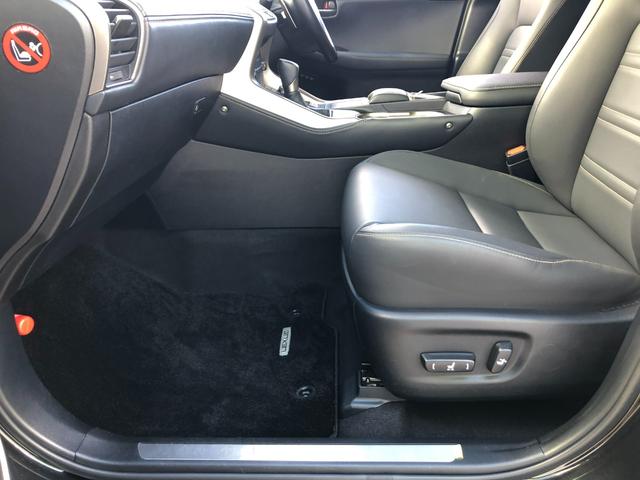 ＮＸ ＮＸ３００ブロンズエディション　ＴＣナビ＋パノラミックビューモニター＋ＥＴＣ＋ドラレコ前後＋合成皮革シート＋シートヒーター＋スマートキー＋ワンオーナー（48枚目）