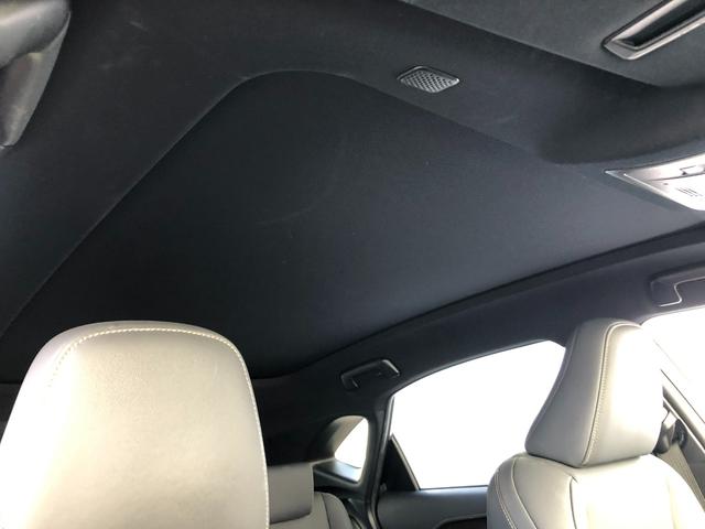 ＮＸ ＮＸ３００ブロンズエディション　ＴＣナビ＋パノラミックビューモニター＋ＥＴＣ＋ドラレコ前後＋合成皮革シート＋シートヒーター＋スマートキー＋ワンオーナー（51枚目）