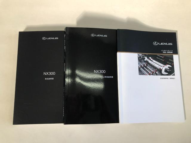 ＮＸ ＮＸ３００ブロンズエディション　ＴＣナビ＋パノラミックビューモニター＋ＥＴＣ＋ドラレコ前後＋合成皮革シート＋シートヒーター＋スマートキー＋ワンオーナー（64枚目）