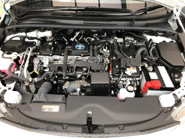 ���ÎԂ͂P��P��ɈႤ�������������܂��B���q�l�ɖ������������邨�Ԃ𐸈�t����Ă����Ă��������܂���