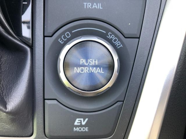 RAV4 ハイブリッドアドベンチャー オフロードパッケージII 試乗車+10.5インチTCナビ+パノラミックビューモニター+ETC+ドライブレコーダー前後+BSM+合成皮革シート+スマートキー+ワンオーナー(36枚目)