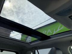 ���Ϥ褤�ۼͤ����������ࡢ���������륵��롼������ 2