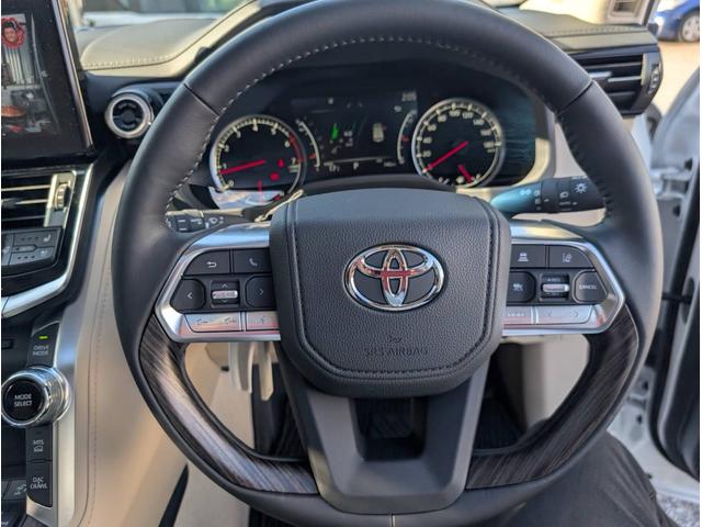 ランドクルーザー ＺＸ　純正ナビ　ヒッチメンバー　クールボックス　電動リアデフロック　サイドバイザー　リアモニター　サンルーフ（16枚目）