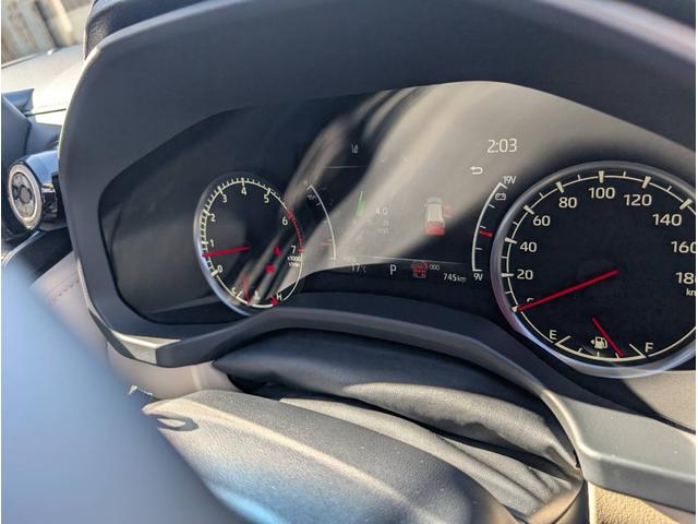 ランドクルーザー ＺＸ　純正ナビ　ヒッチメンバー　クールボックス　電動リアデフロック　サイドバイザー　リアモニター　サンルーフ（19枚目）