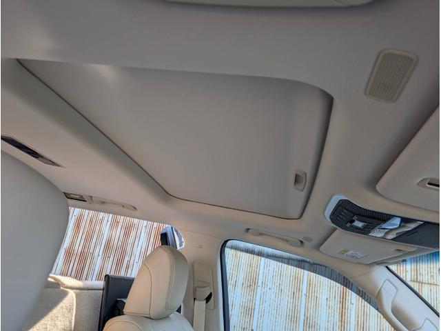 ランドクルーザー ＺＸ　純正ナビ　ヒッチメンバー　クールボックス　電動リアデフロック　サイドバイザー　リアモニター　サンルーフ（50枚目）