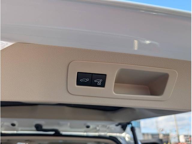 ランドクルーザー ＺＸ　純正ナビ　ヒッチメンバー　クールボックス　電動リアデフロック　サイドバイザー　リアモニター　サンルーフ（51枚目）