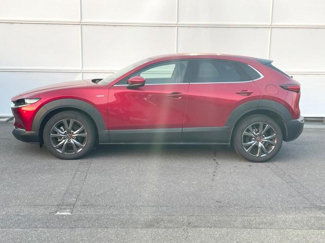 ＣＸ－３０ ２０Ｓ１００年記念２０２０ＷＣＯＴＹ　ＴＯＰ３モデル　純正ＳＤナビ　全周囲カメラ　ＢＯＳＥサウンド　衝突被害軽減システム　レーダークルーズ　禁煙車　レザーシート　パワーシート　ドラレコ　コーナーセンサー　スマートキー　ＬＥＤヘッド　ビルトインＥＴＣ（46枚目）
