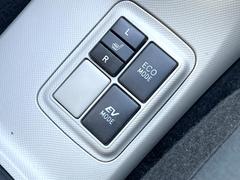 �ڥ����ȥҡ������۴������˽������륷���ȥҡ������������������᤯���ޤäƤ����ΤǴ�����οͤ�¿��Ǥ��͢���������β����ϴ��礹�뤫���ꡢ�Ȥ������ˤ�򤪤�����Ǥ��� 5