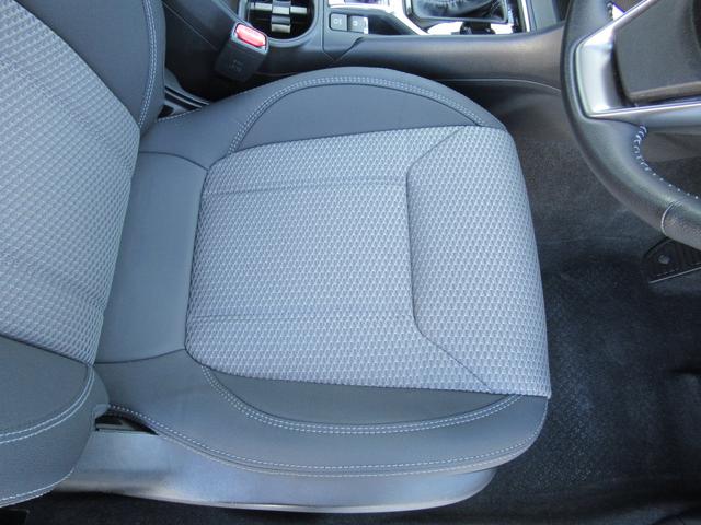 フォレスター Ｘ－エディション　アイサイト搭載車　ルーフレール付き　８インチメモリーナビゲーション　パワーリヤゲート　リバース連動ドアミラー　ドアミラーオート格納機能　ハンドルヒーター　サイドビューモニター　前後録画型ドライブレコーダー（29枚目）