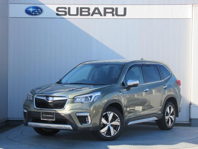 �h���C�o�[���j�^�����O�V�X�e���@�n�C�r�[���A�V�X�g�@�X�o�������r�[�N���f�B�e�N�V�����@�t�����g�J�����@�T�C�h�r���[���j�^�[�@�X�}�[�g�����r���[�~���[�@�����B�ڂ����̓X�^�b�t�܂ł��₢���킹��������