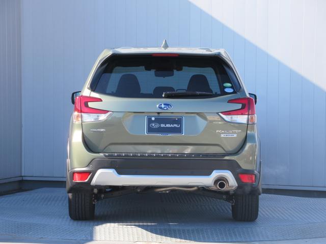 �S���ʂ̃_���[�W�ɔ�����V��͍��\���{�f�B���t�H���X�^�[�̃{�f�B�̋����ƌy�ʉ����������x���Ŏ������Ă��܂�