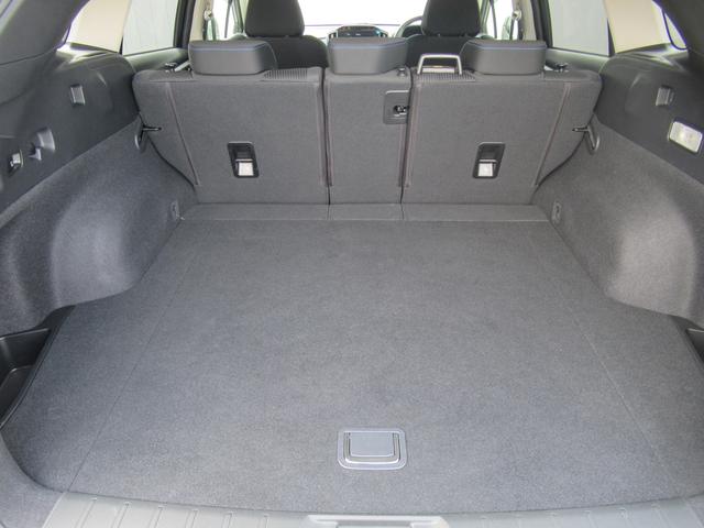 レヴォーグ ＧＴ－Ｈ　ＥＸ　アイサイトＸ搭載車　スマートリヤビューミラー　前後録画型ドライブレコーダー　ドライバーモニタリングシステム　スバルリヤビークルディテクション　エマージェンシーレーンキープアシスト（46枚目）