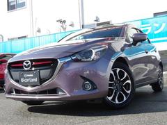 ǥߥˡҲ꡿󥪡ʡޥĥΥѥȥϥåХå 2