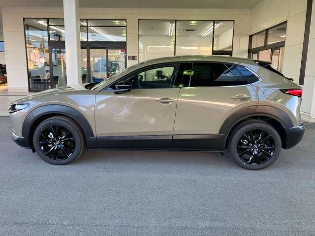 ＣＸ－３０ ２．０　２０Ｓ　レトロ　スポーツ　エディション　サービスカーＵＰ　３６０度ビューモニター（6枚目）