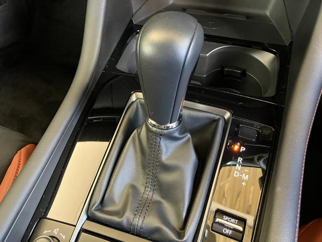 �p���[���X��ጸ�A�]���Ƃ��떳���H�ʂɓ`�B����A�V�J���̃X�J�C�A�N�e�B�u�}�`�b�N�i�U���`�s�j�B�}�j���A�����[�h�ł́A�C�����ǂ��X�|�[�c���s������̊��������I�I