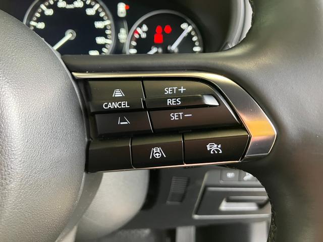 �y�Ǐ]�^�N���[�Y�R���g���[���@�z�O���̎ԗ���Ǐ]���s���A�O�Ԃ��M���ȂǂŒ�Ԃ����ꍇ�ł��A�O������~�܂ł��Ă����A�S�ԑ���̒Ǐ]�^�N���[�Y�R���g���[���𓋍ځB