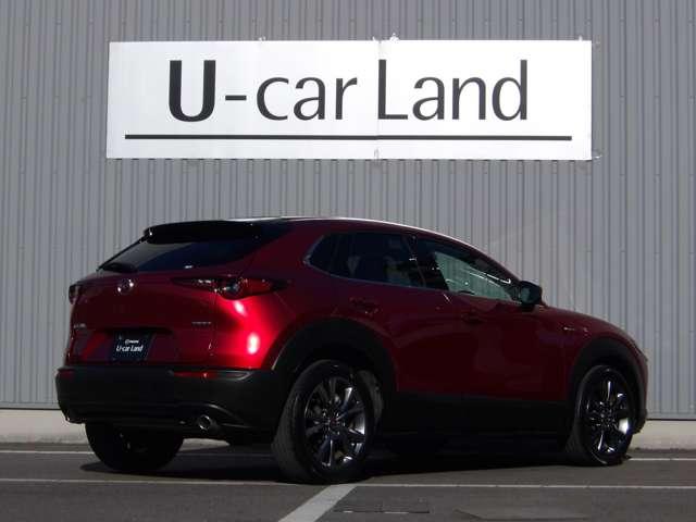 ��ȃK���X�ƃ��A�K���X�́A�ԓ���������v���C�o�V�[�_�[�N�K���X�ɂȂ��Ă��܂��B���O����������ی삵�A�O������̃v���C�o�V�[������Ă���܂��恙