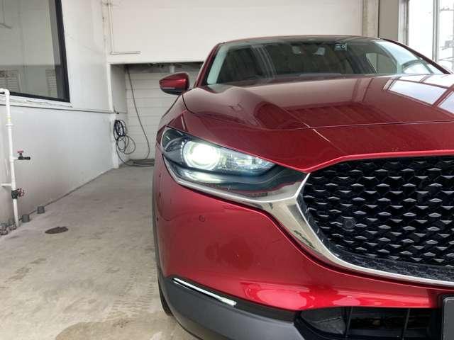 �s���O�����Ƃ炷�A�k�d�c�w�b�h���C�g�B�����܂Ŏ��E���J���邱�ƂŁA�����S�����X�g���X�̂Ȃ����s���A�񋟂��Ă���܂��B���C�g�̎������������Ƃ��k�d�c���C�g�̓����ł��ˁB