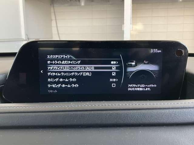 �w�b�h�A�b�v�f�B�X�v���C�𑕔����Ă��܂��B�h���C�o�[�̎����̐�ɃX�s�[�h���\�������̂ŁA�����̈ٓ������Ȃ��A���S�ɉ^�]�o���܂��B