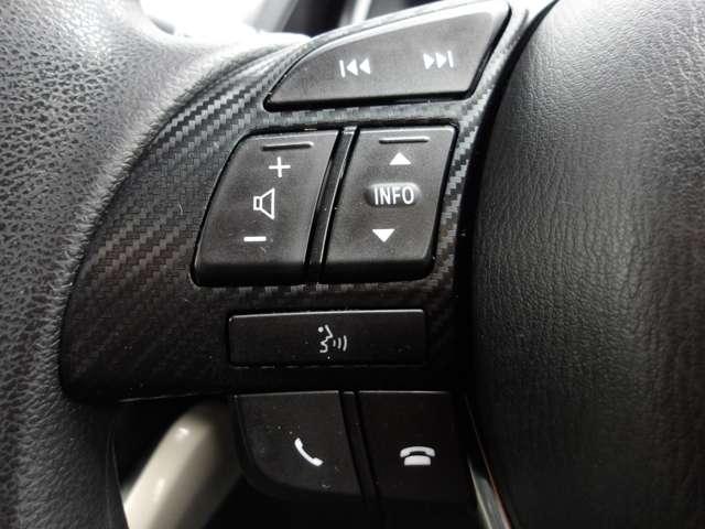 �I�[�f�B�I�̉��ʂ�`�����l�����삪�ł���X�C�b�`���A�n���h���ɕt���Ă��܂��B�^�]���ł��A���삪�s���Ĕ��Ɉ��S�E�֗��ł��I