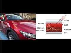 ڥåɥꥹ᥿åۡ̿륨ͥ륮åʶ䤫Τʤߤȱ𴶤⤤ξΩܥǥ顼Ǥ 7