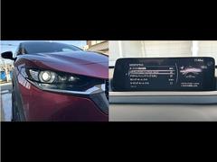 ڥץƥ̣֡ţġإåɥ饤ȡۡϥ磻ɤΣΣ̣ţĥ饤Ȥ˺Ŭ۸˼ư椷ޤи֤ԼԤˤϾȼͤɬפʬˤƤޤ 7