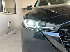 �Ԥ�������Ȥ餹���̣ţĥإåɥ饤�ȡ��󤯤ޤǻ볦�������뤳�Ȥǡ����¿��������ȥ쥹�Τʤ����Ԥ��󶡤��Ƥ���ޤ����饤�Ȥμ�̿��Ĺ�����Ȥ�̣ţĥ饤�Ȥ���ħ�Ǥ��͡� 5