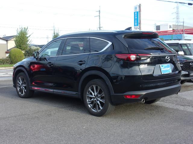 ＣＸ－８ ２．２　ＸＤ　Ｌパッケージ　ディーゼルターボ　４ＷＤ　当社下取り　ワンオーナー　２．２ディーゼルターボ　４ＷＤ　マツダコネクトＴＶ　３６０度ビューカメラ　３列シート６人乗り　革パワーシート　シート＆ハンドルヒーター　レーダークルーズ　スマートキー　ＬＥＤ（23枚目）