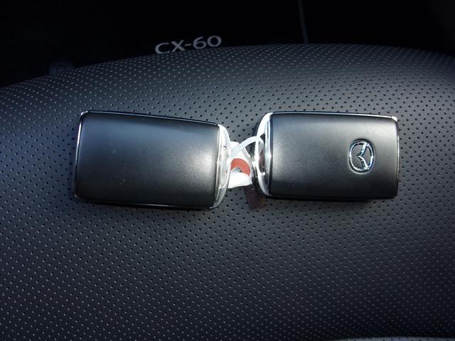 ＣＸ－６０ ３．３　ＸＤハイブリッド　エクスクルーシブ　スポーツ　ディー　当社下取り　ワンオーナー　３．３ディーゼルＨＶ４ＷＤ　マツダコネクトナビＴＶ　３６０度カメラ　２カメラドラレコ　ＥＴＣ　革パワーシート　シート＆ハンドルヒータ　シートベンチレーション　レーダークルーズ（45枚目）