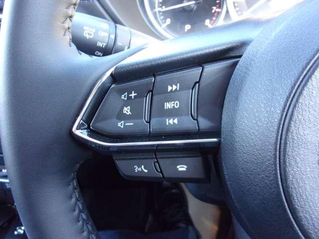 �I�[�f�B�I�̉��ʂ�`�����l�����삪�ł���X�C�b�`���A�n���h���ɕt���Ă��܂��B�^�]���ł��A���삪�s���Ĕ��Ɉ��S�E�֗��ł��I