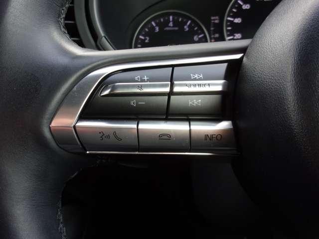 �I�[�f�B�I�̉��ʂ�`�����l�����삪�ł���X�C�b�`���A�n���h���ɕt���Ă��܂��B�^�]���ł��A���삪�s���Ĕ��Ɉ��S�E�֗��ł��I