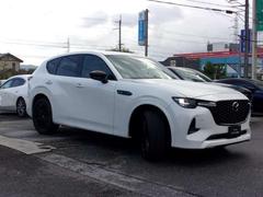 �������ǥ������륿���ܥϥ��֥�å���ܡ�����ϡ���ǳ���¸� 3