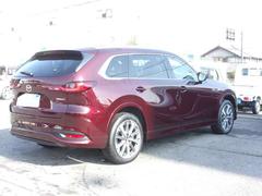 ���ʥ��饹�ȥꥢ���饹�ϡ����⤬�����񤤥ץ饤�Х������������饹�ˤʤäƤ��ޤ����糰�����������ݸ����������Υץ饤�Х������äƤ���ޤ���� 4