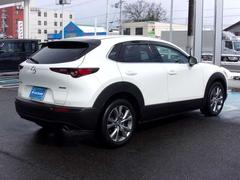 ���ʥ��饹�ȥꥢ���饹�ϡ����⤬�����񤤥ץ饤�Х������������饹�ˤʤäƤ��ޤ����糰�����������ݸ����������Υץ饤�Х������äƤ���ޤ���� 4