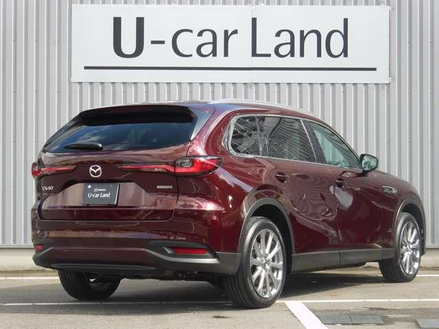 張りのあるリフトゲートの面造形やリアバンパー下部の水平基調のデザインによって、フロントビューと同時に無駄な動きのないスタンスのよさとワイド感を際立たせました。