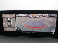 ３６０度ビューカメラを搭載。４方の小型カメラの映像を処理し、車両真上からの映像に変換しています。駐車時大いに役に立ちます。 6