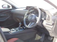 ڣףѥȡۡ٤Ĵ᤬ǽʡưȤǤȥݥεǽĤ 3