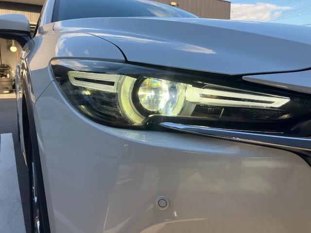 �s���O�����Ƃ炷�A�k�d�c�w�b�h���C�g�B�����܂Ŏ��E���J���邱�ƂŁA�����S�����X�g���X�̂Ȃ����s���A�񋟂��Ă���܂��B���C�g�̎������������Ƃ��k�d�c�̓����ł��ˁB