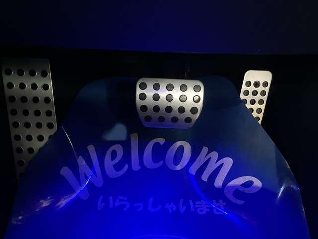 �I�v�V�����̃t�b�g�C���~�l�[�V�����t���ł�