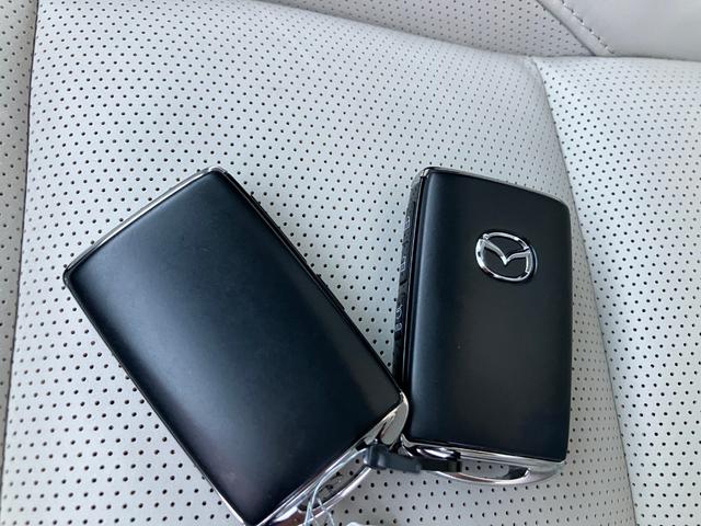 �y�A�h�o���X�g�L�[���X�z�g�ɒ����Ă��邾���Ńh�A���b�N�̊J��G���W���X�^�[�g���e�Ղɏo���܂��B�X�y�A�L�[�t���B