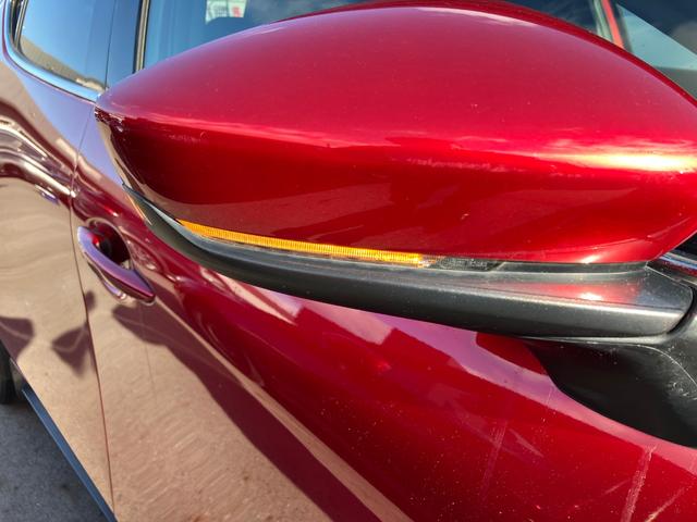 �E�B���J�[���h�A�~���[�ɓ�������Ă��܂��B�h���X�t�o���ʂ���ł����A����̎Ԃ�����C�Â��Ă��炢�Ղ��̂ŁA���S�����ɂ��q�����Ă��܂��B