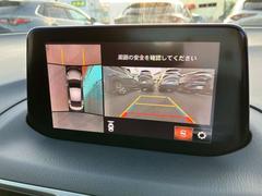  ӡ꡼ʥӡե륻ԣ 0701935A20251030Z003 5