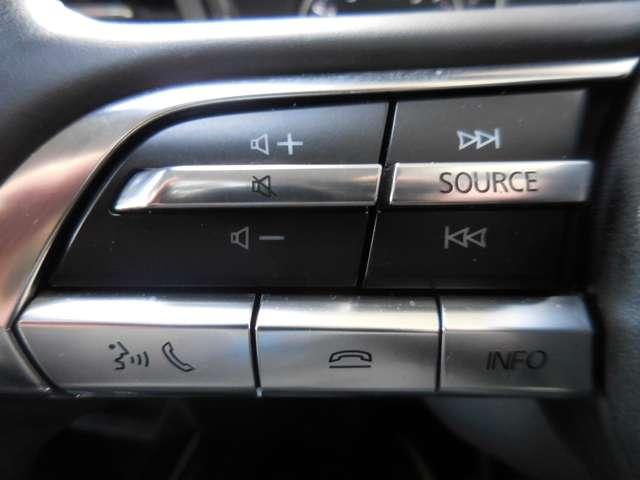 CX-30 20SプロアクティブT/S(14枚目)