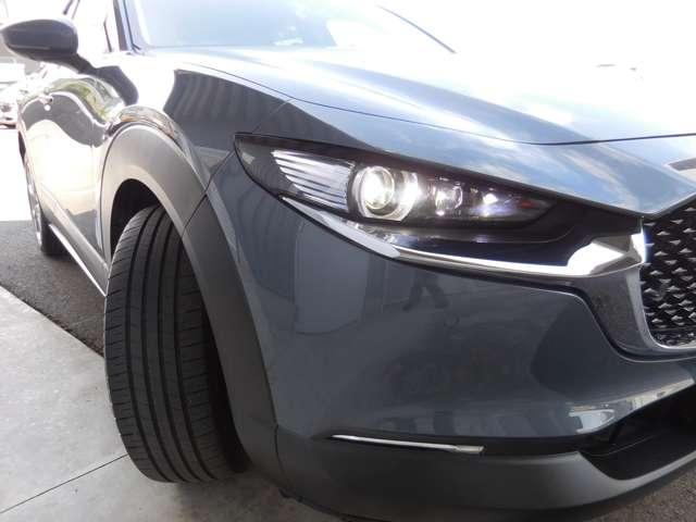 CX-30 20SプロアクティブT/S(19枚目)