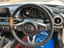 １００周年記念車　１００周年記念車（15枚目）