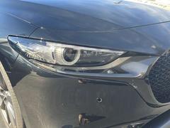 �ڳ�ʪ���������������Ϥ�ۤ��ܻؤ������϶����إåɥ饤�ȥ����ƥࡣ����Ū�ʡȥ����ͥ��㡼�̣ţĥ��סɤ���ѡ��������ϥ��Ȥ���������뤤�ȼͤǡ���֤Υɥ饤�֤򥵥ݡ��Ȥ��ޤ��� 7