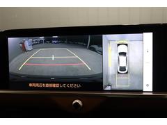 ���庸���Υ����α�������������֤�夫�鸫���褦�ʻ����ΥѥΥ�ߥå��ӥ塼��˥����������λ�Ѥ����Ǥʤ������������ξ㳲ʪ��ȯ���⤷�䤹���ʤ�ޤ��� 6