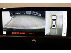 ���庸���Υ����α�������������֤�夫�鸫���褦�ʻ����ΥѥΥ�ߥå��ӥ塼��˥����������λ�Ѥ����Ǥʤ������������ξ㳲ʪ��ȯ���⤷�䤹���ʤ�ޤ��� 6